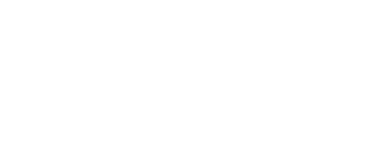 BidLyzer
